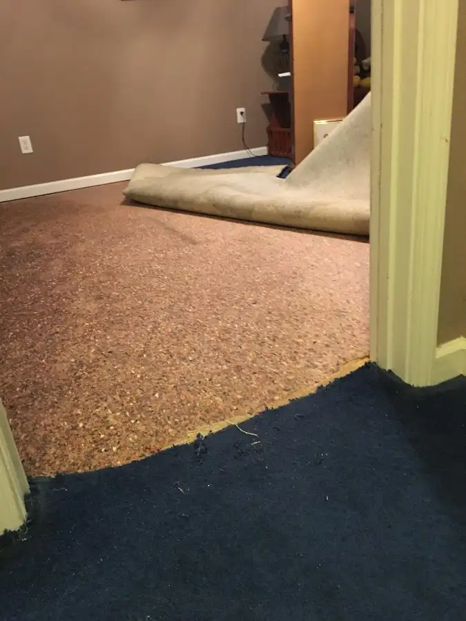 Carpet pad removal revealing water damage during Water Mitigation Services in Beacon Square