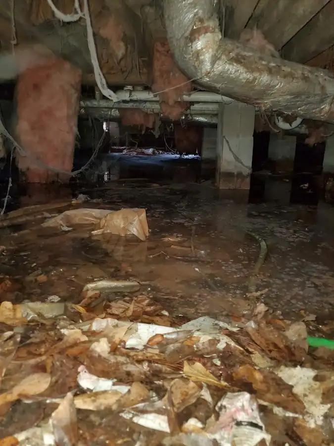 Crawl space flood assessment for Leak Detection & Repair in Beacon Square